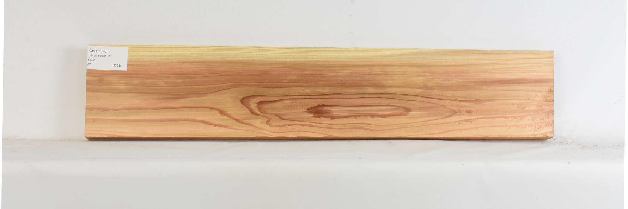 Cedar - Japanese 1 CEDJ1376_1