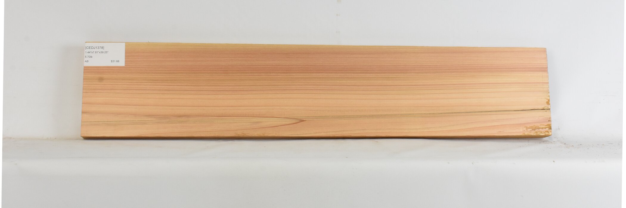 Cedar - Japanese 1 CEDJ1378_1