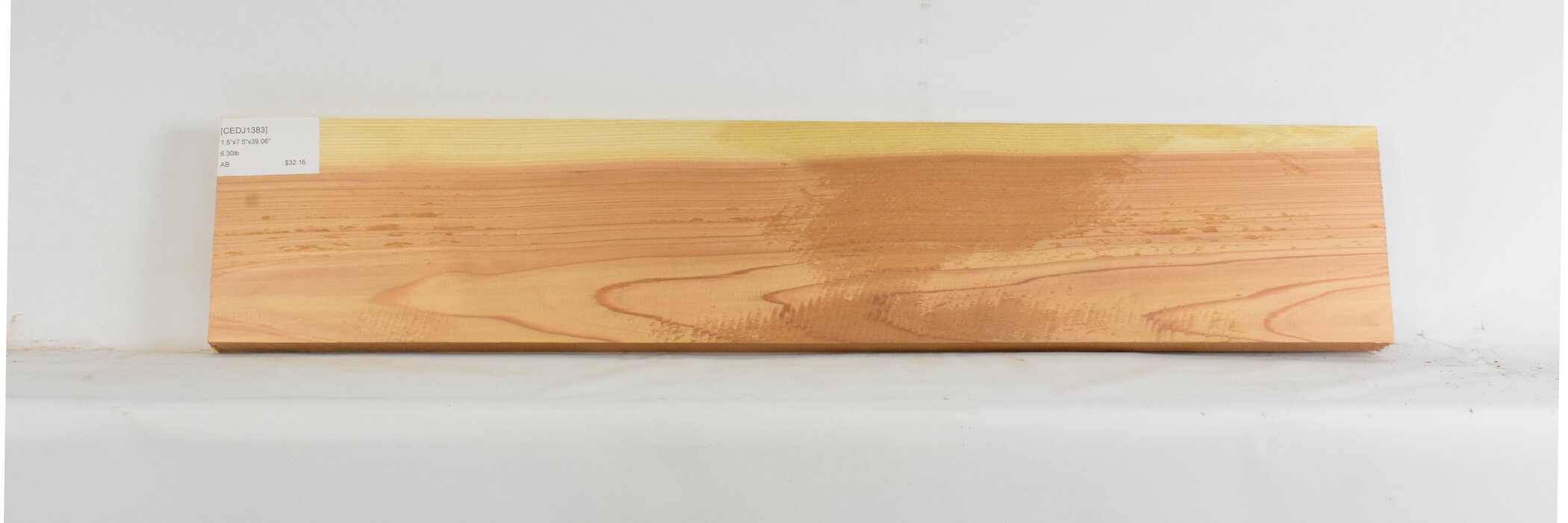 Cedar - Japanese 1 CEDJ1383_1