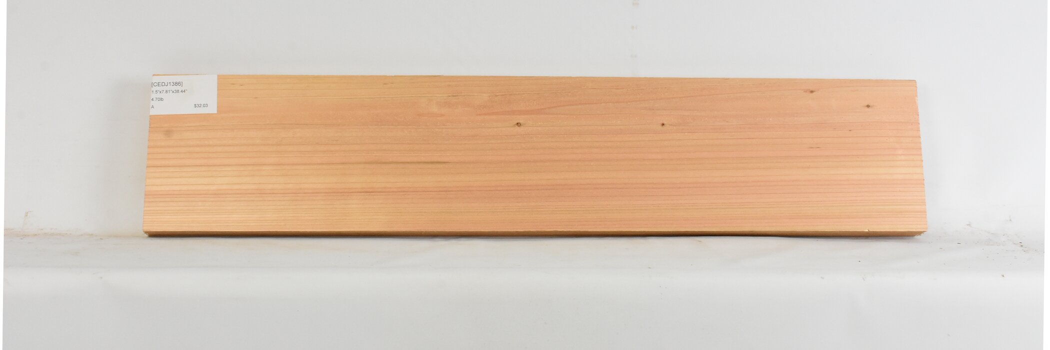 Cedar - Japanese 1 CEDJ1386_1