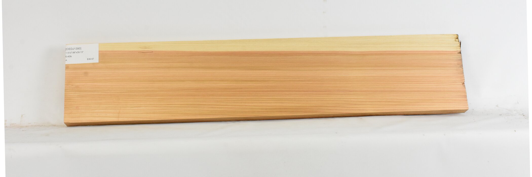 Cedar - Japanese 1 CEDJ1390_1