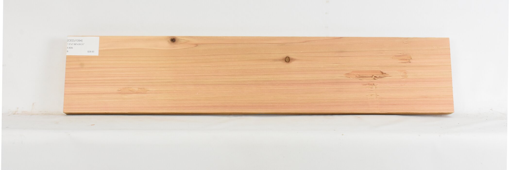 Cedar - Japanese 1 CEDJ1394_1