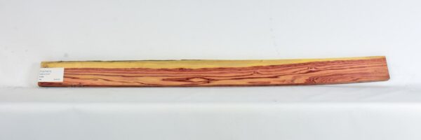 TULP1671_2