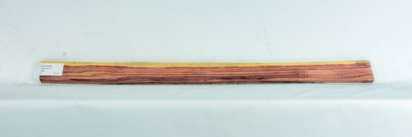 TULP1673_2