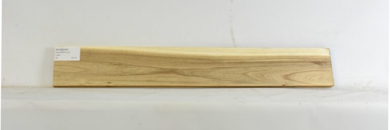 Blackwood - Acacia 16 BWAC1384_1