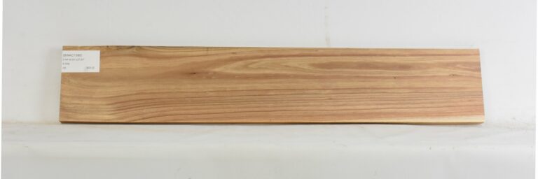 Blackwood - Acacia 14 BWAC1386_1