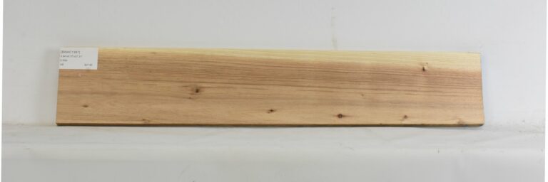 Blackwood - Acacia 13 BWAC1387_1