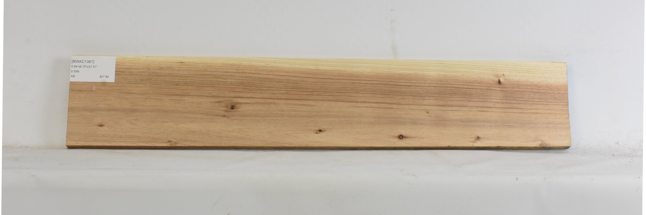 Blackwood - Acacia 1 BWAC1387_1