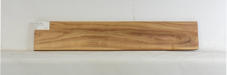 Blackwood - Acacia 12 BWAC1388_1