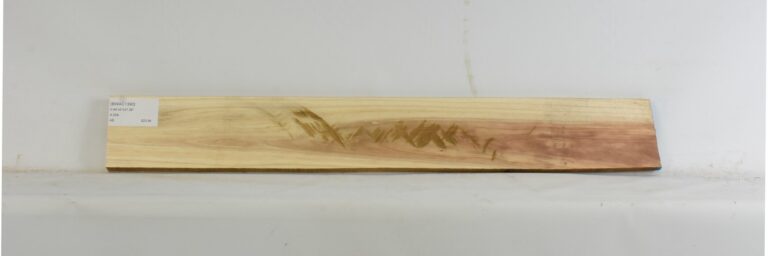 Blackwood - Acacia 10 BWAC1390_1