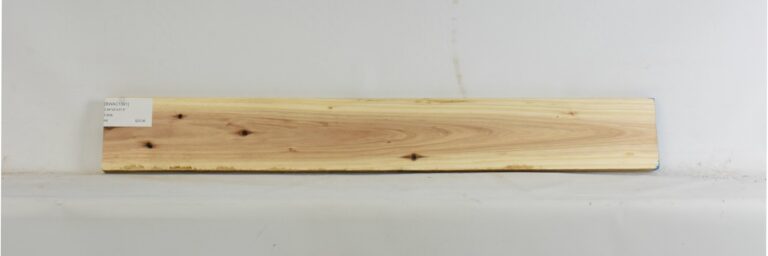 Blackwood - Acacia 9 BWAC1391_1