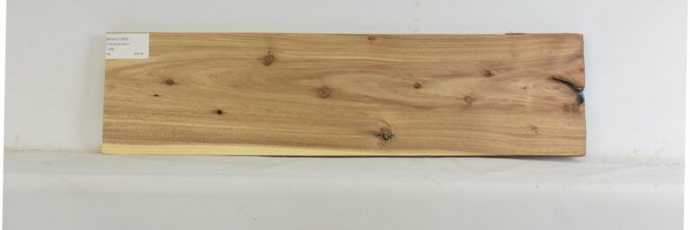 Blackwood - Acacia 7 BWAC1393_1