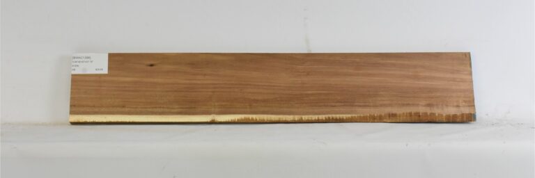 Blackwood - Acacia 4 BWAC1396_1