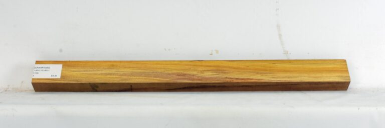 Canarywood 11 CANAR1383_1