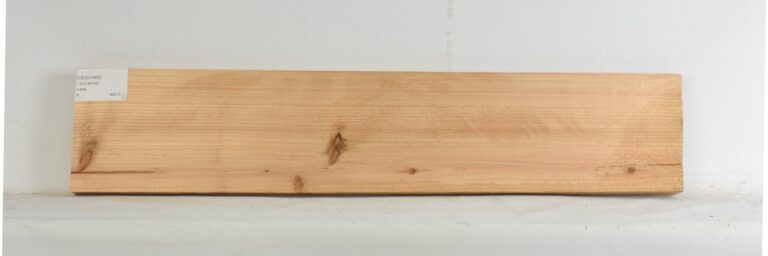 Cedar - Japanese 5 CEDJ1405_1