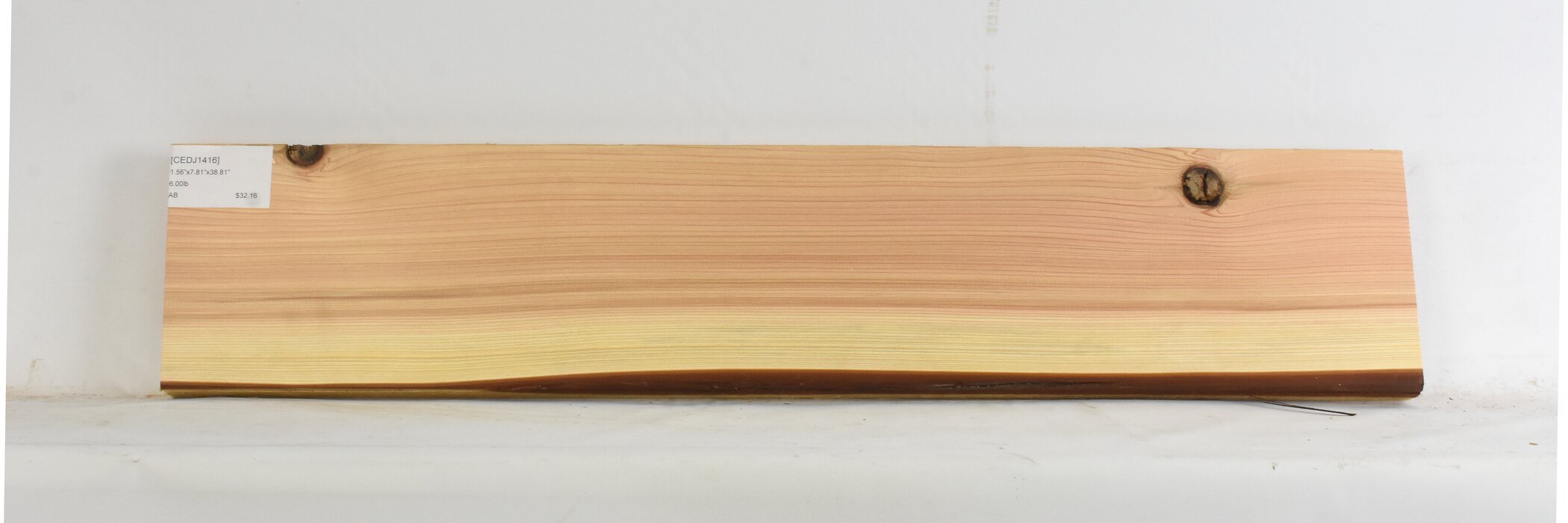 Cedar - Japanese 2 CEDJ1416_2