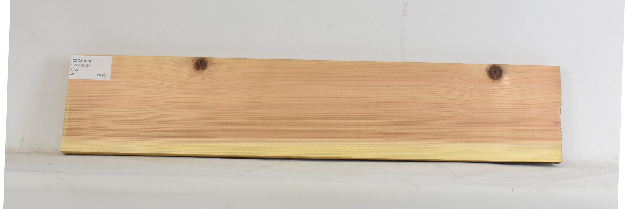 Cedar - Japanese 1 CEDJ1419_1