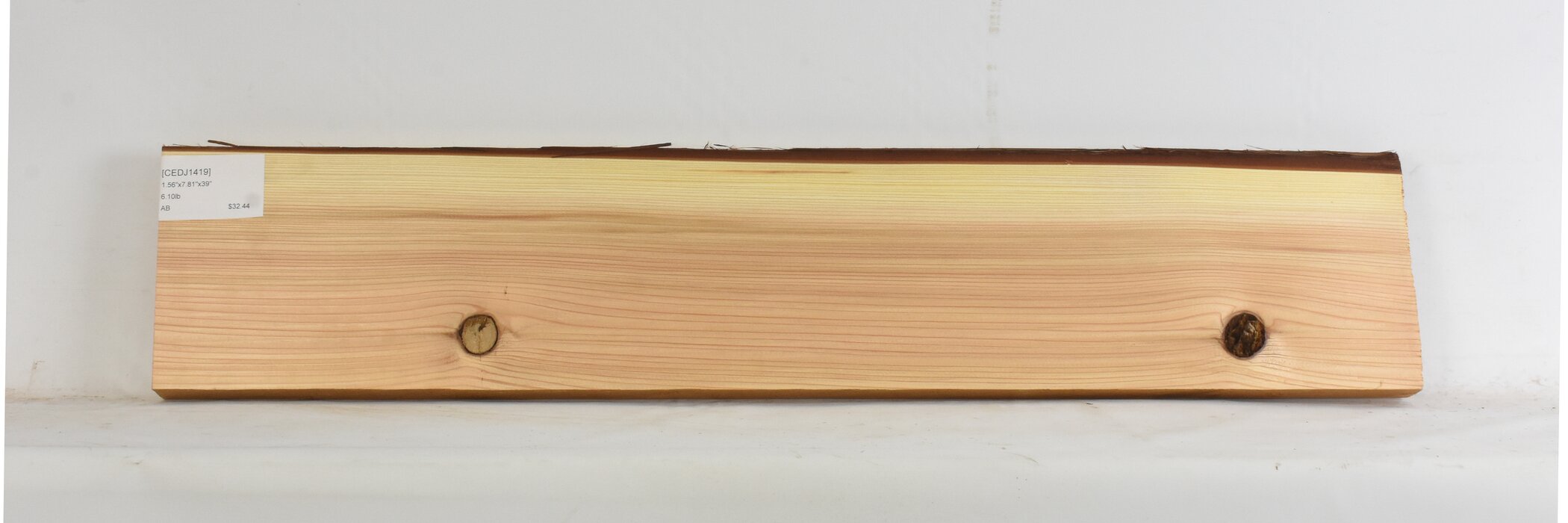 Cedar - Japanese 2 CEDJ1419_2