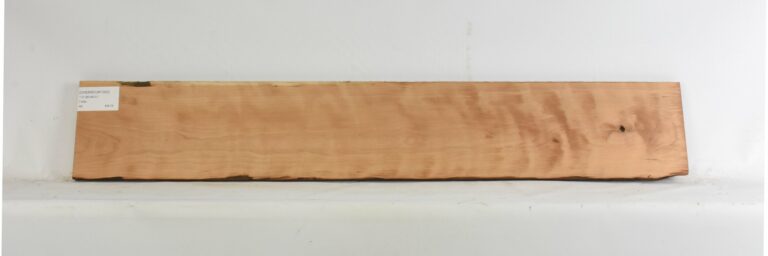 Cherry - American Curly 17 CHERRCUR1352_1