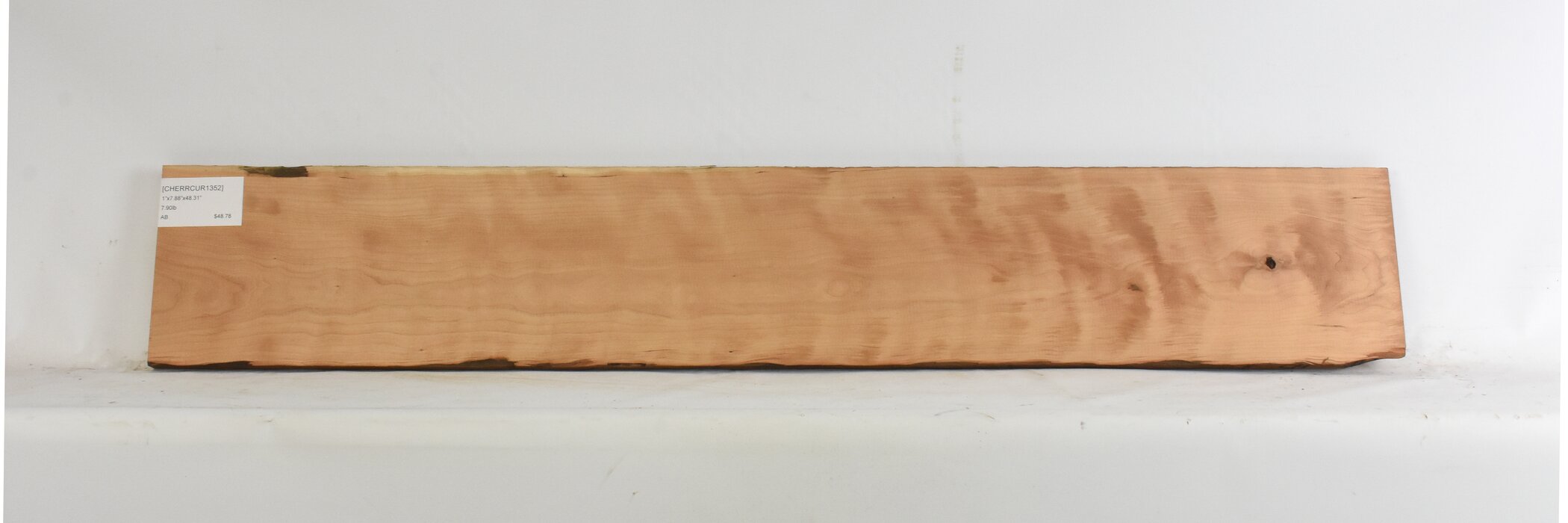 Cherry - American Curly 1 CHERRCUR1352_1