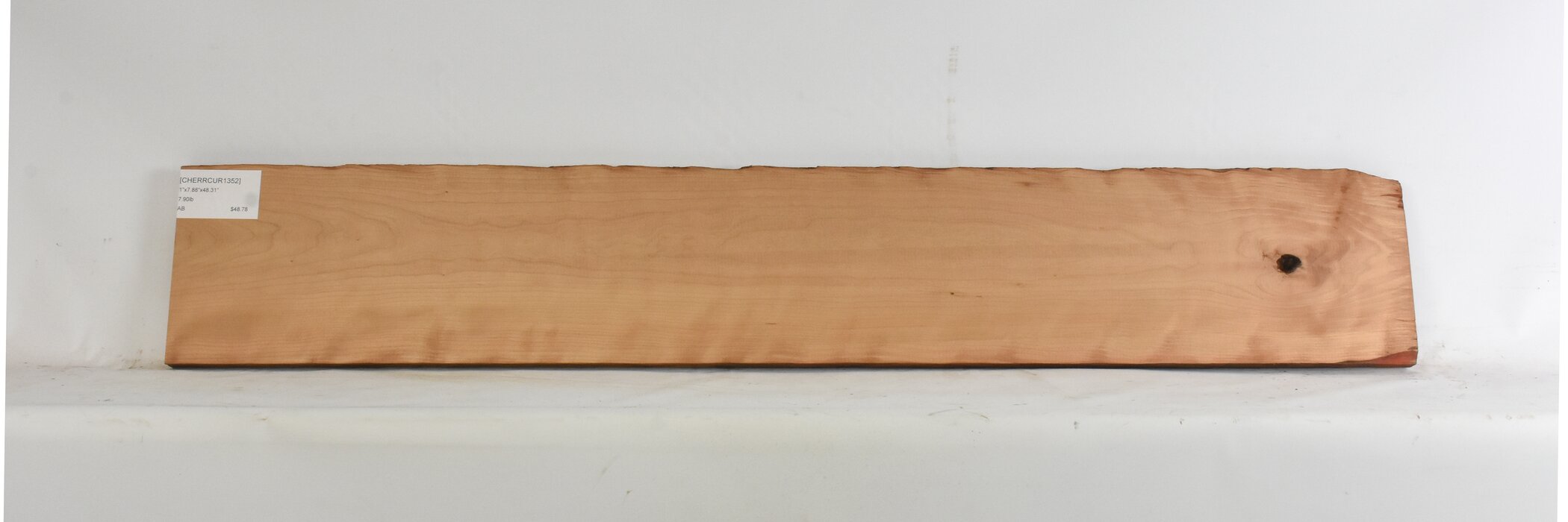 Cherry - American Curly 2 CHERRCUR1352_2