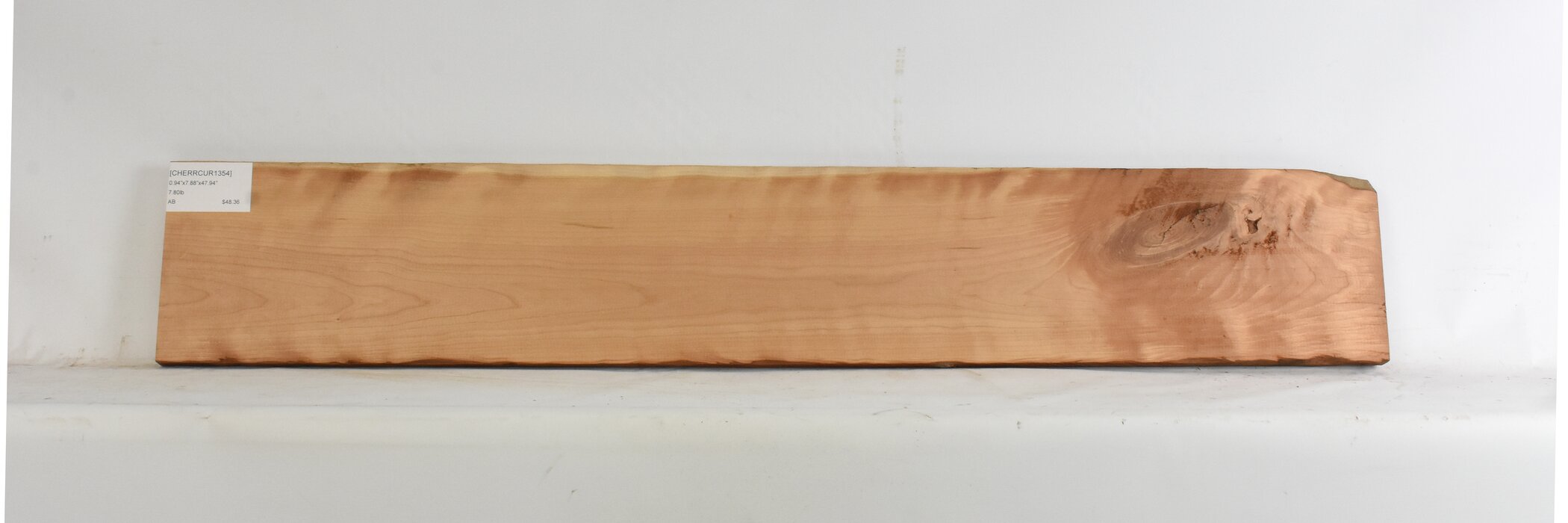 Cherry - American Curly 2 CHERRCUR1354_2