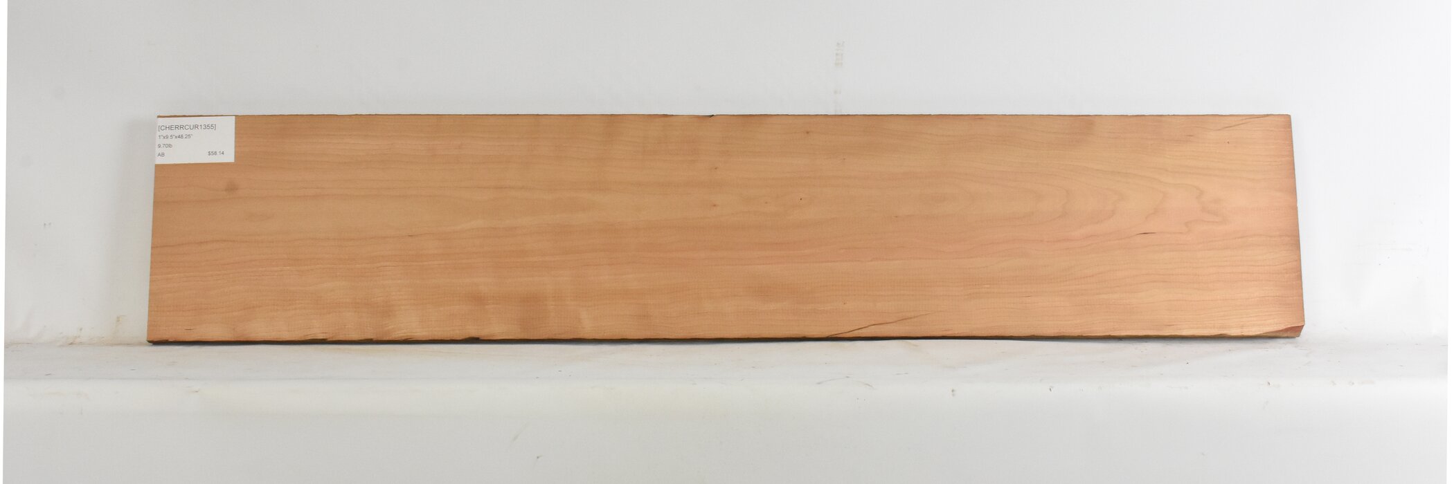 Cherry - American Curly 1 CHERRCUR1355_1