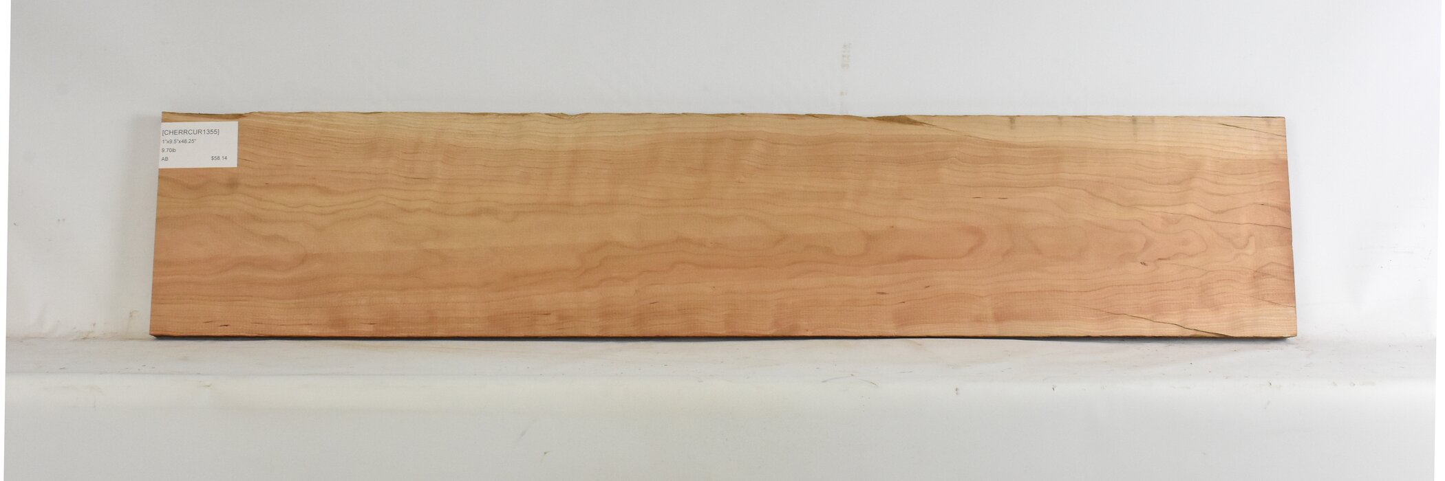 Cherry - American Curly 2 CHERRCUR1355_2