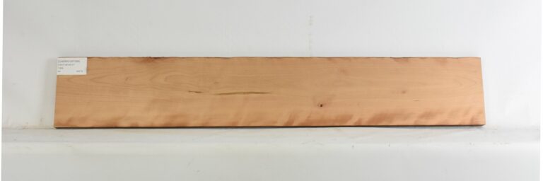 Cherry - American Curly 13 CHERRCUR1356_1