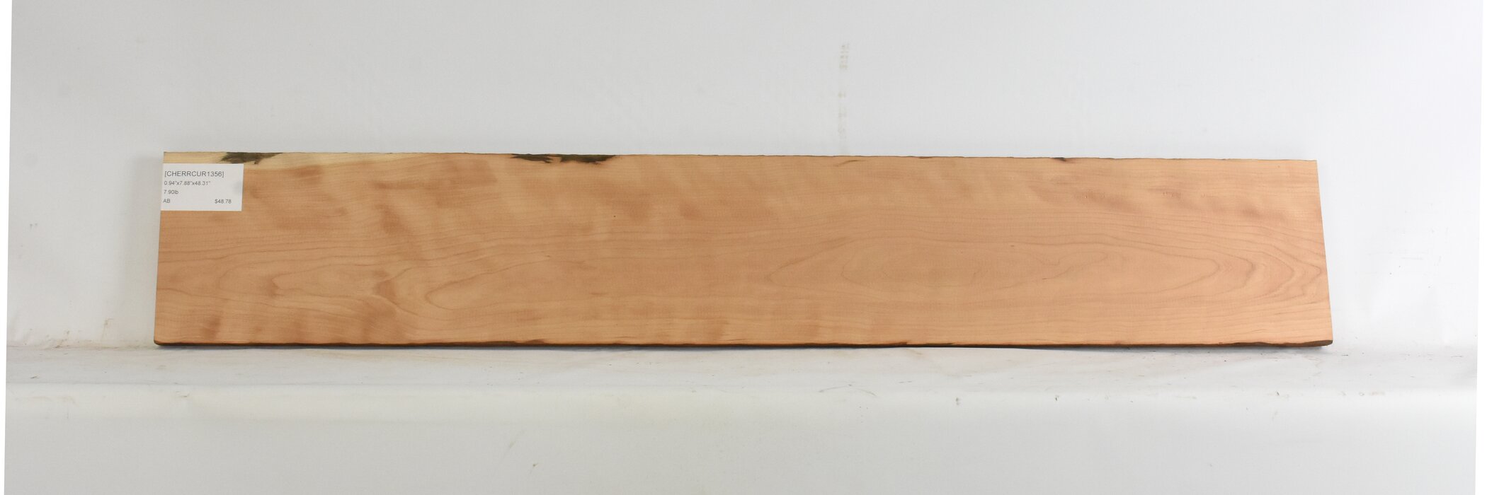 Cherry - American Curly 2 CHERRCUR1356_2