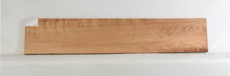 Cherry - American Curly 12 CHERRCUR1357_1