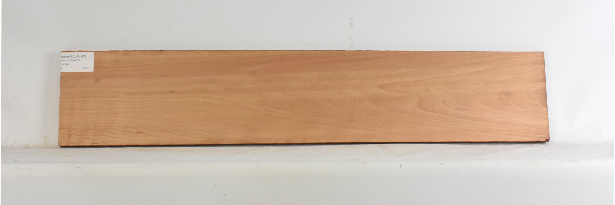 Cherry - American Curly 2 CHERRCUR1357_2