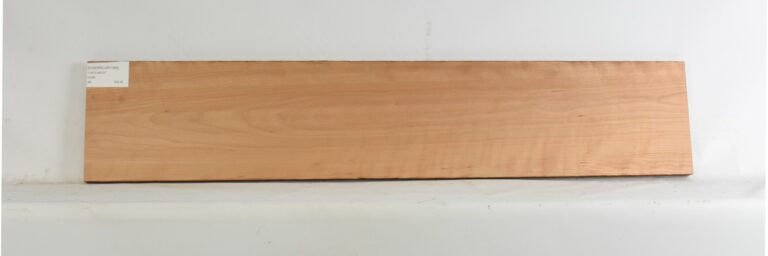 Cherry - American Curly 11 CHERRCUR1358_1