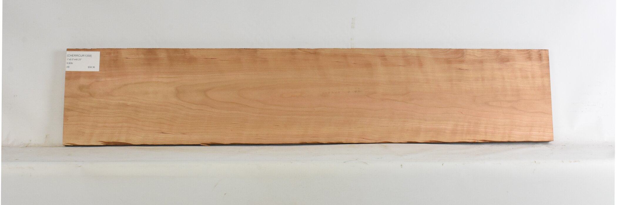 Cherry - American Curly 2 CHERRCUR1358_2