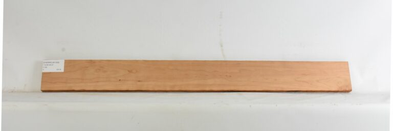 Cherry - American Curly 10 CHERRCUR1359_1