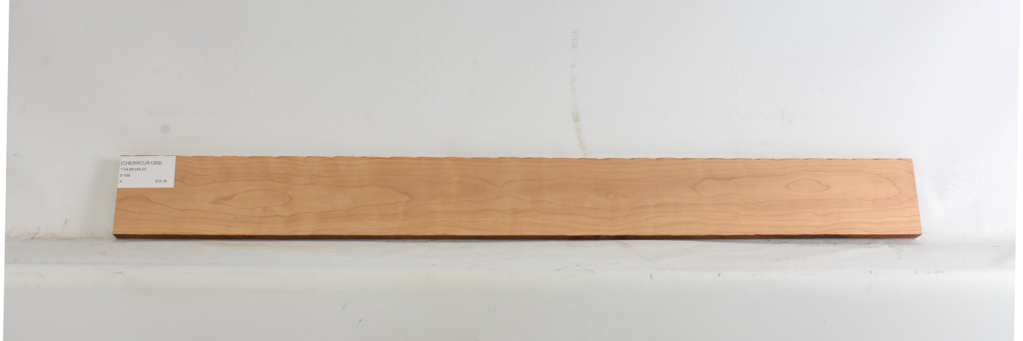 Cherry - American Curly 2 CHERRCUR1359_2