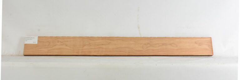 Cherry - American Curly 8 CHERRCUR1361_1