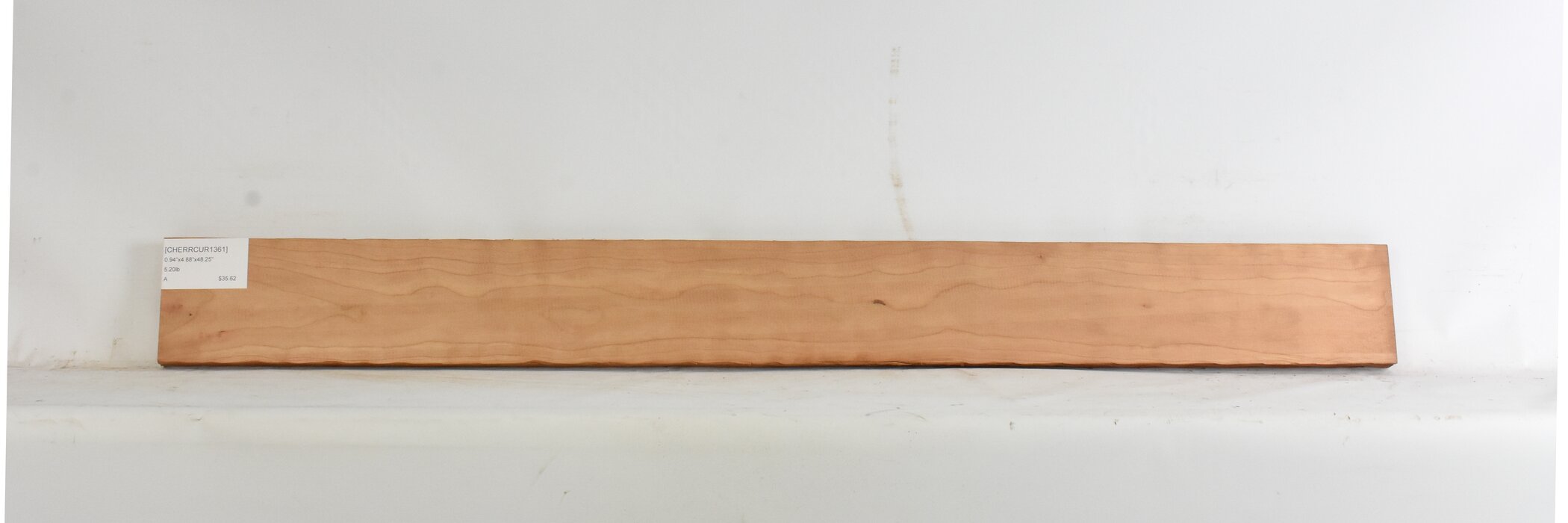 Cherry - American Curly 2 CHERRCUR1361_2