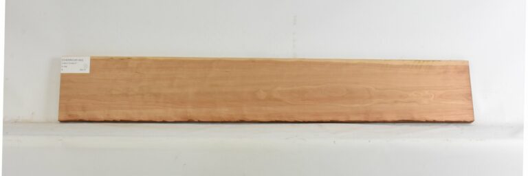 Cherry - American Curly 7 CHERRCUR1362_1