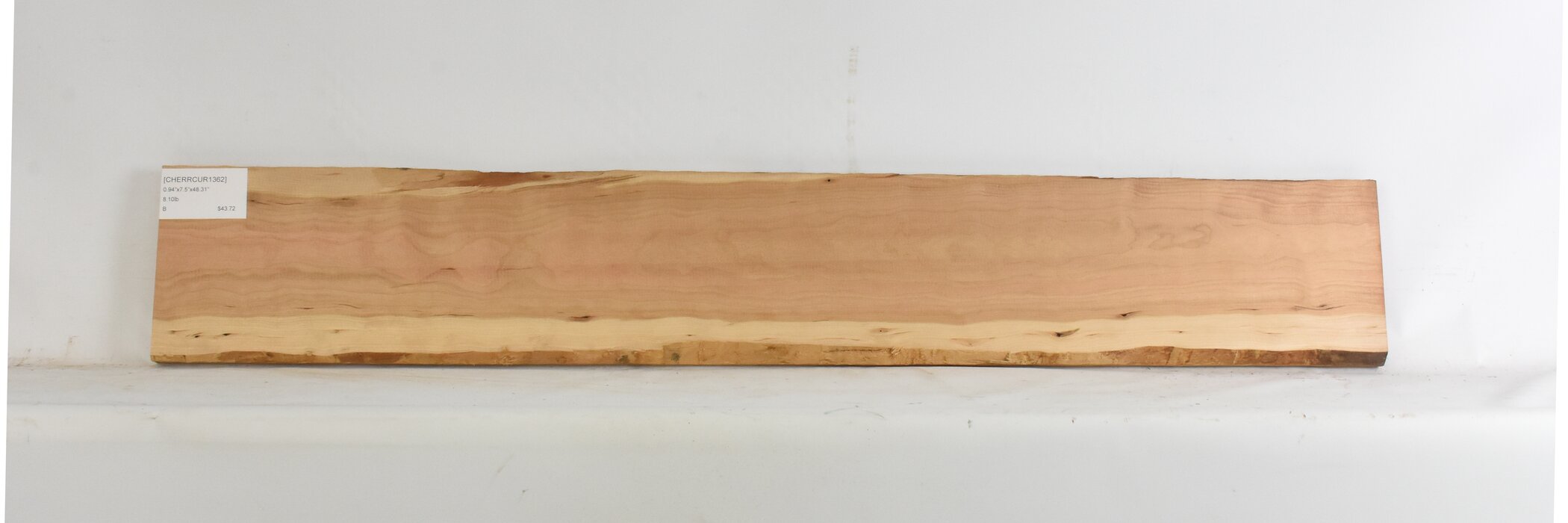 Cherry - American Curly 2 CHERRCUR1362_2