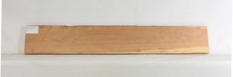 Cherry - American Curly 6 CHERRCUR1363_1