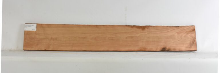 Cherry - American Curly 5 CHERRCUR1364_1