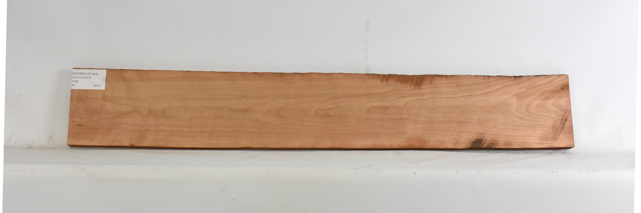 Cherry - American Curly 1 CHERRCUR1364_1