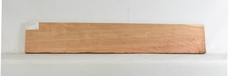 Cherry - American Curly 4 CHERRCUR1365_1