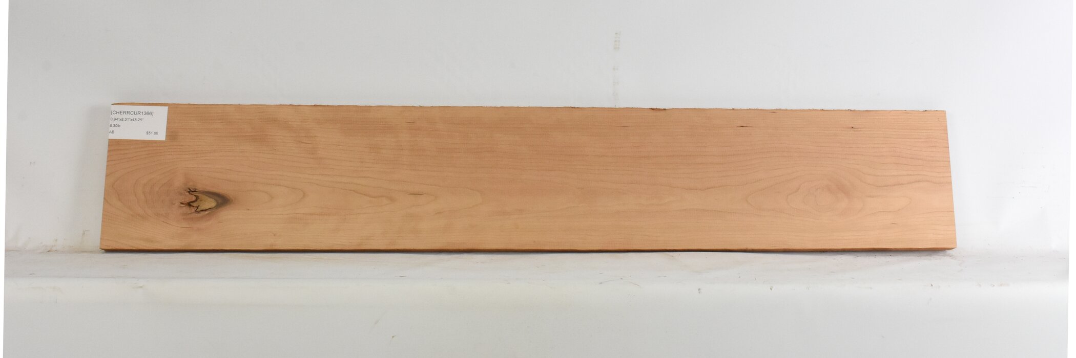 Cherry - American Curly 2 CHERRCUR1366_2