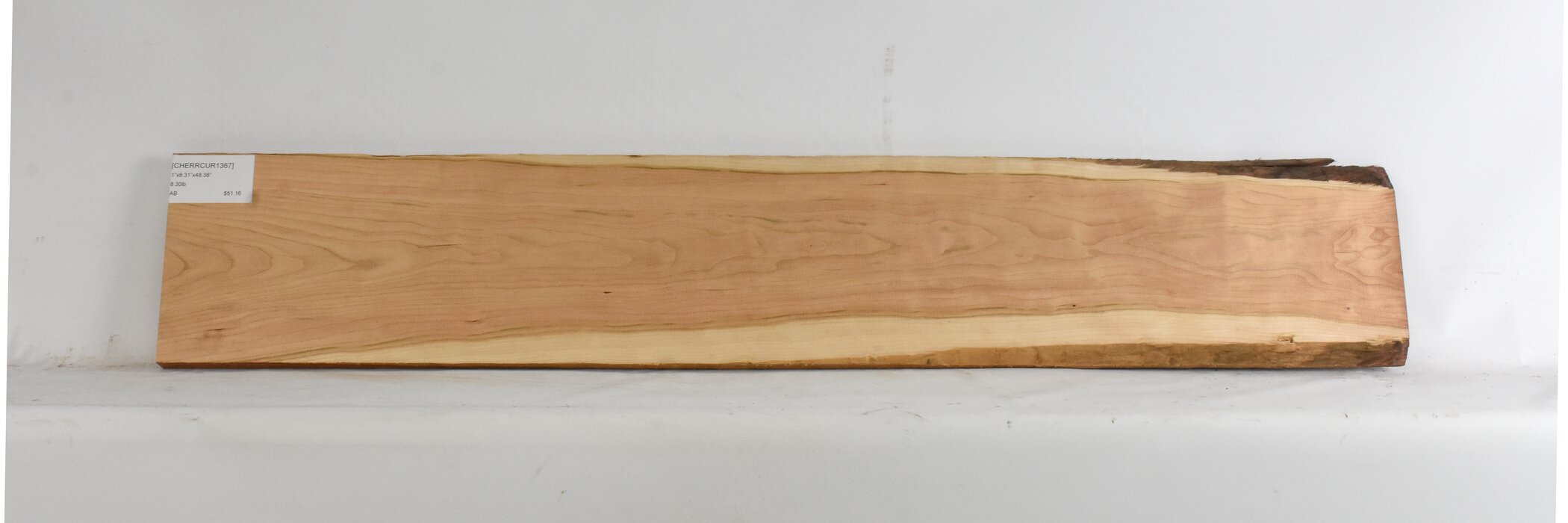 Cherry - American Curly 1 CHERRCUR1367_1