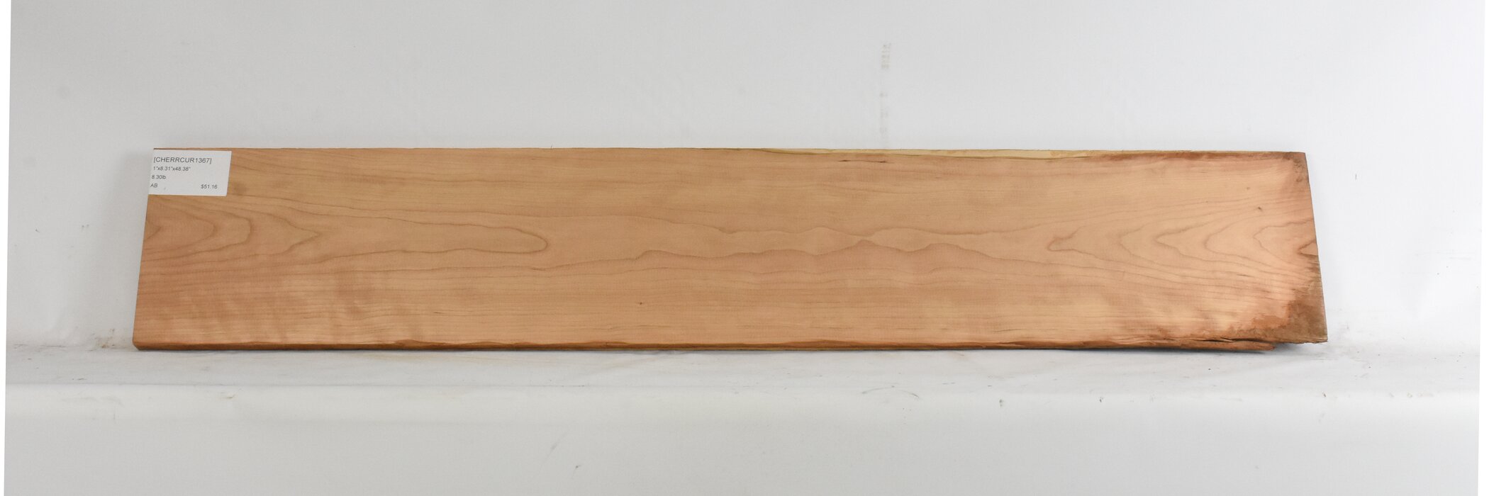 Cherry - American Curly 2 CHERRCUR1367_2