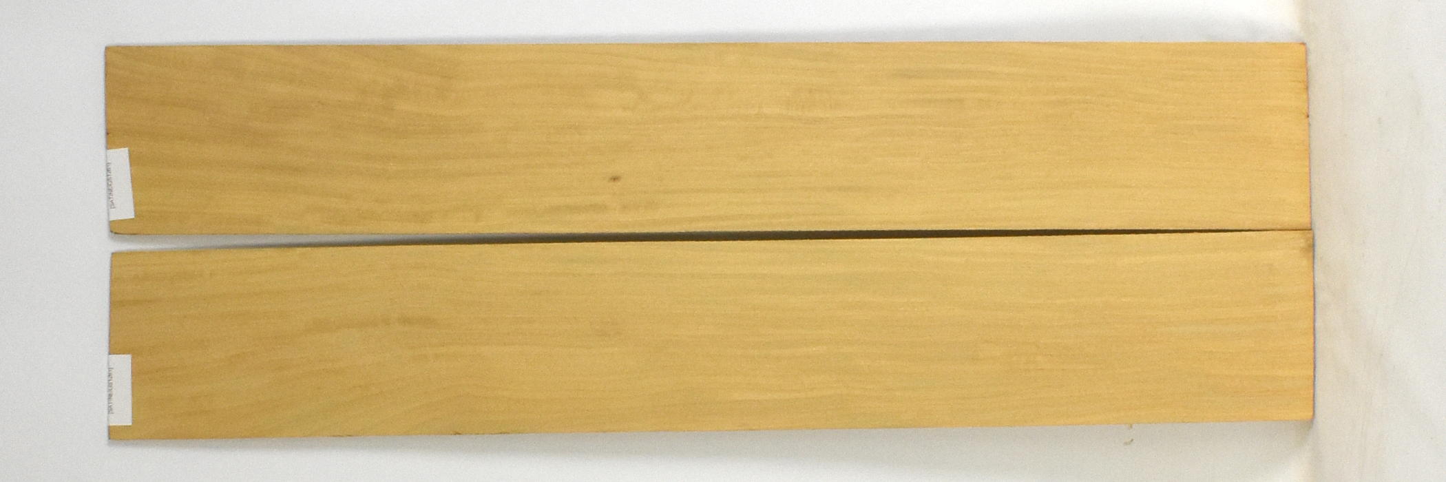 Satinwood - East Indian 2 SATINEIGS1261_2