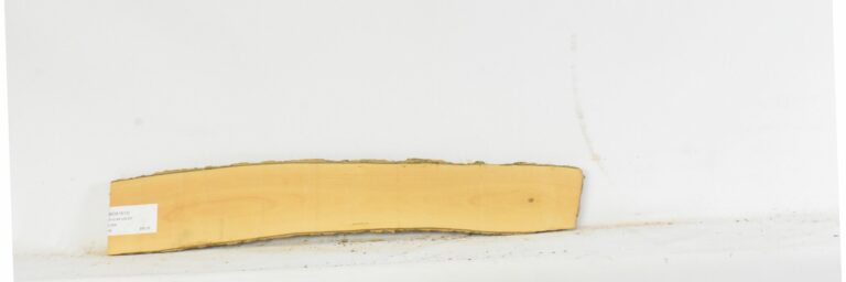 Boxwood 15 BOX1613_1