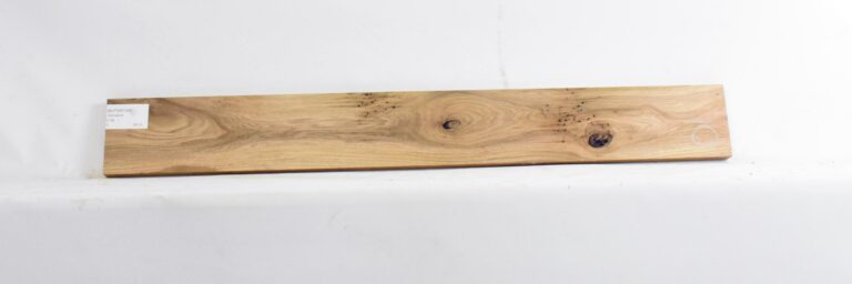 Butternut 10 BUTTER1355_1